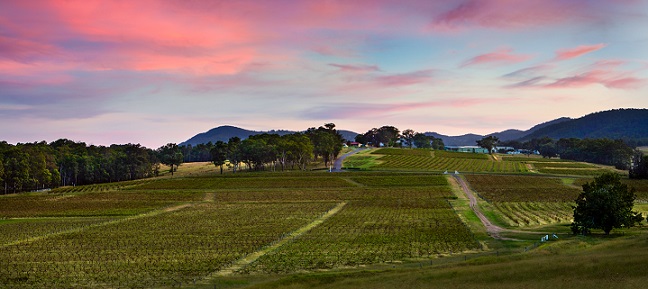 Pokolbin Winery and vineyard